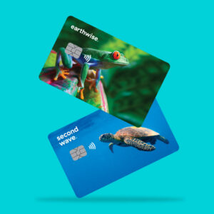 CPI Second Wave and Earthwise card