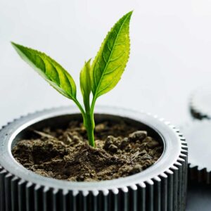 Gear with a plant growing from it
