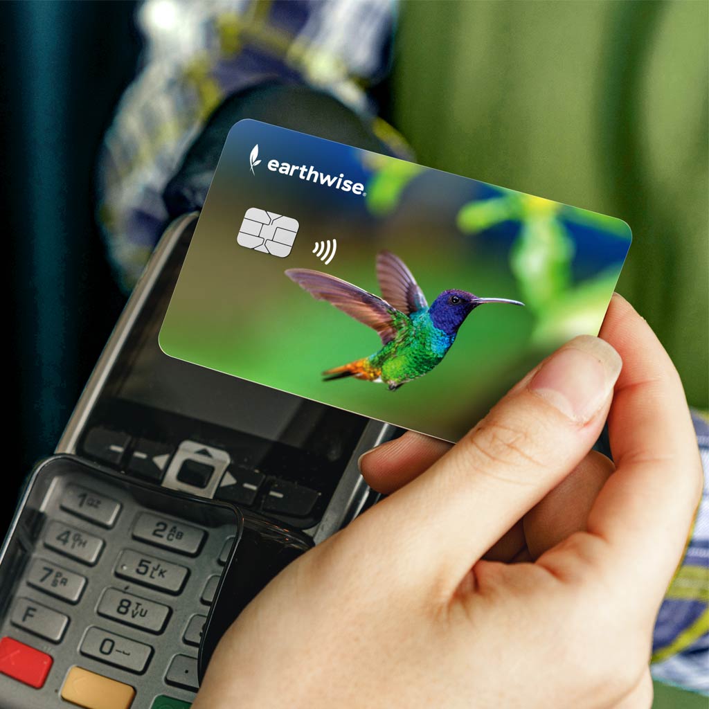 CPI Earthwise Card Hummingbird
